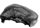 Image of product : Filet à Cheveux Invisible Brun - 21'' - 100/boites