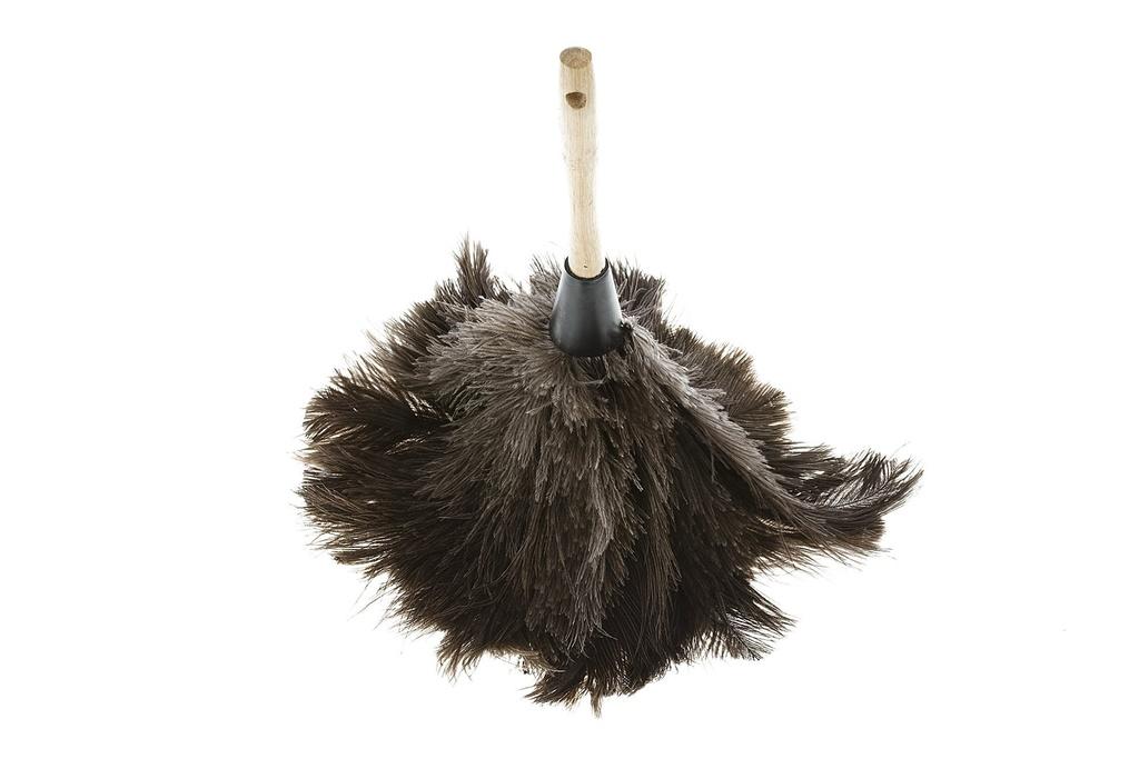 Image of product : Plumeau - Plume d'Autruche